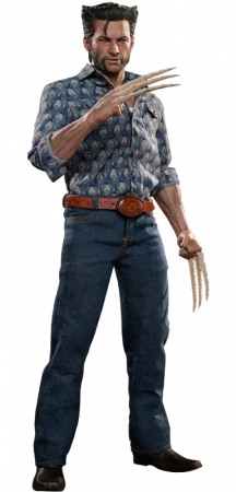 Brandneu ⭐ Hot Toys X-Men: Zukunft Ist Vergangenheit - Wolverine (1973 Version) - Collector Edition Movie Masterpiece ✨